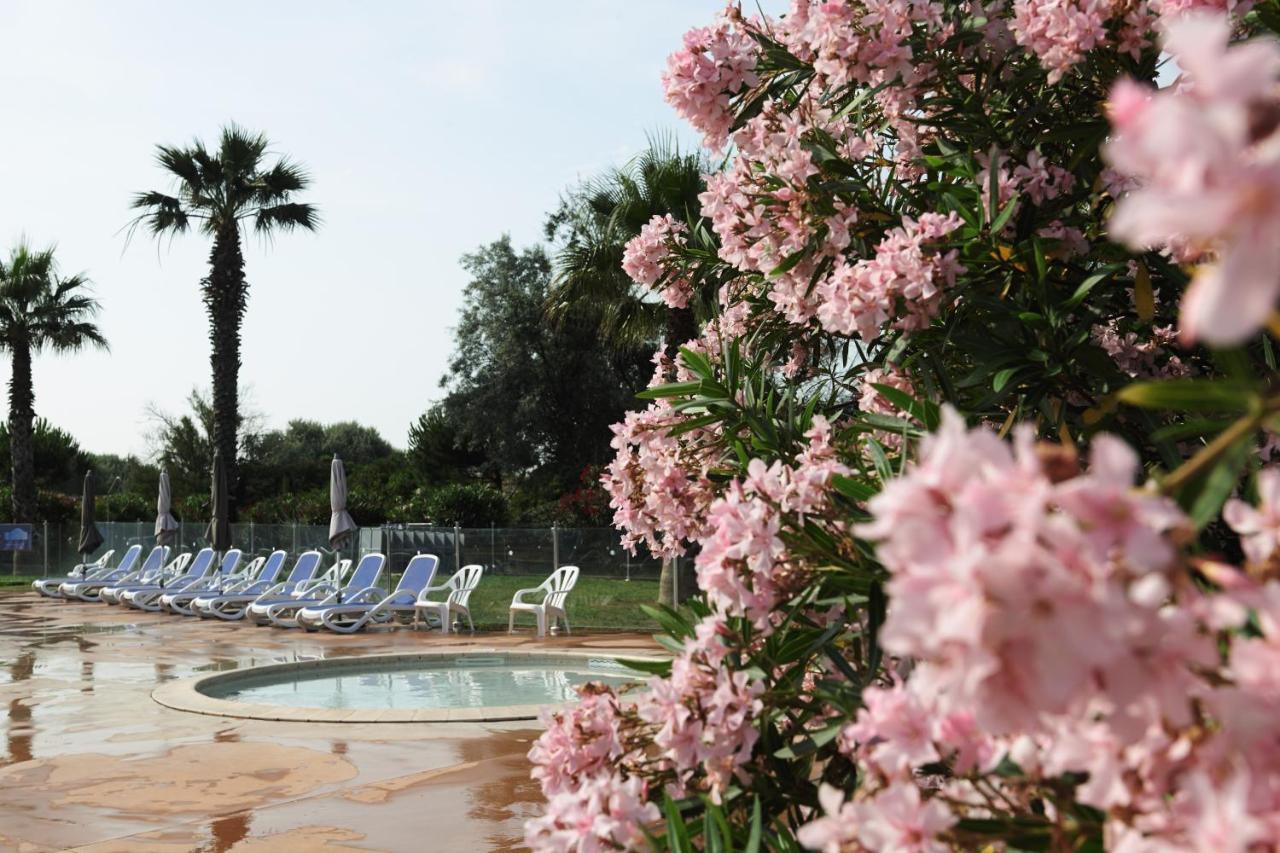 Belambra Clubs Residence Le Grau Du Roi - Le Vidourle آرْلْ المظهر الخارجي الصورة